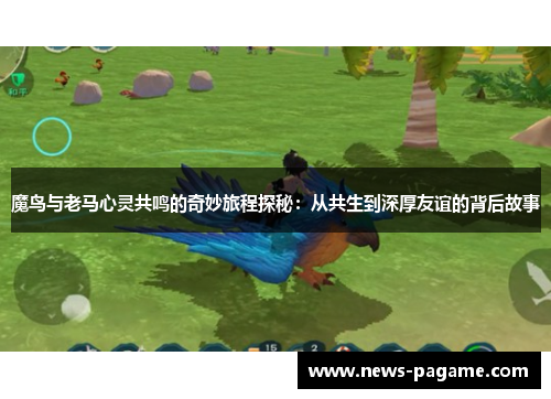 魔鸟与老马心灵共鸣的奇妙旅程探秘:从共生到深厚友谊的背后故事