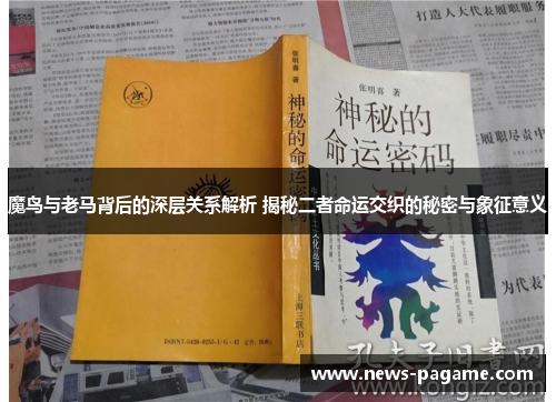 魔鸟与老马背后的深层关系解析 揭秘二者命运交织的秘密与象征意义 魔鸟与老马背后的深层关系解析 揭秘二者命运交织的秘密与象征意义